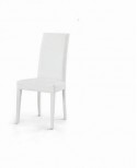 2 PIECES STUHL ARMCHAIR HALL KÜCHE ECO SKIN WEISS Superförderung