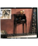 BUREAU PICCOLO CON SERRANDINA APRIBILE L.55 H.100 P. 41