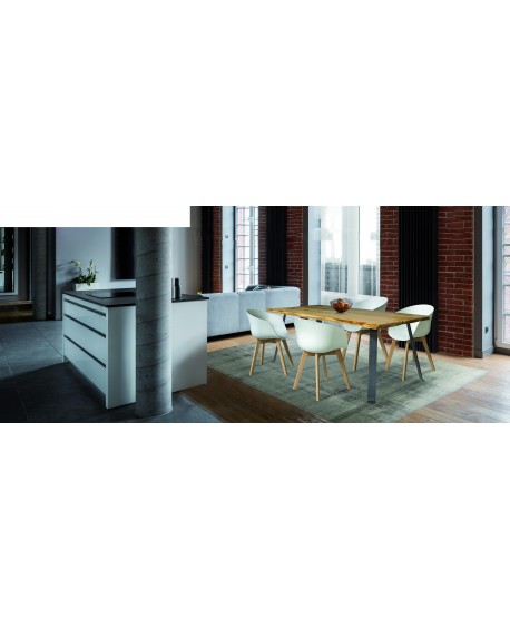 TAVOLO FRASSINO T. NATURALE 4 GAMBE FERRO ANTRACITE200x98x77