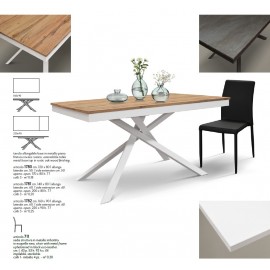 Tavolo allungabile 120x80 con 1 all. cm. 40 base metallo e piano finitura rovere rustico